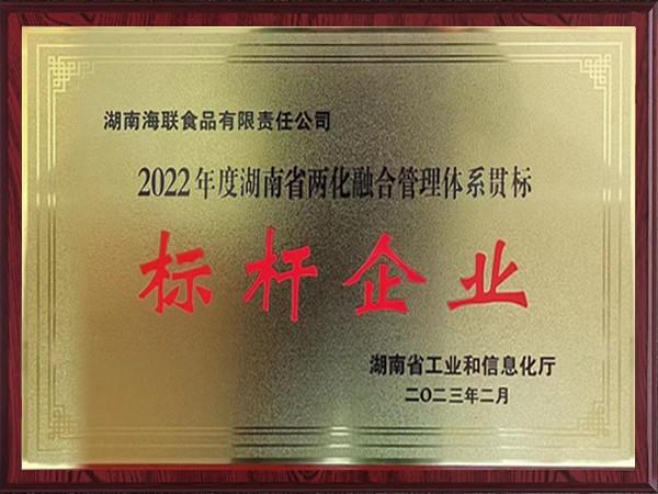 標(biāo)桿企業(yè)