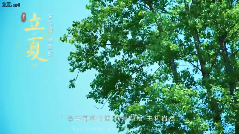 立夏